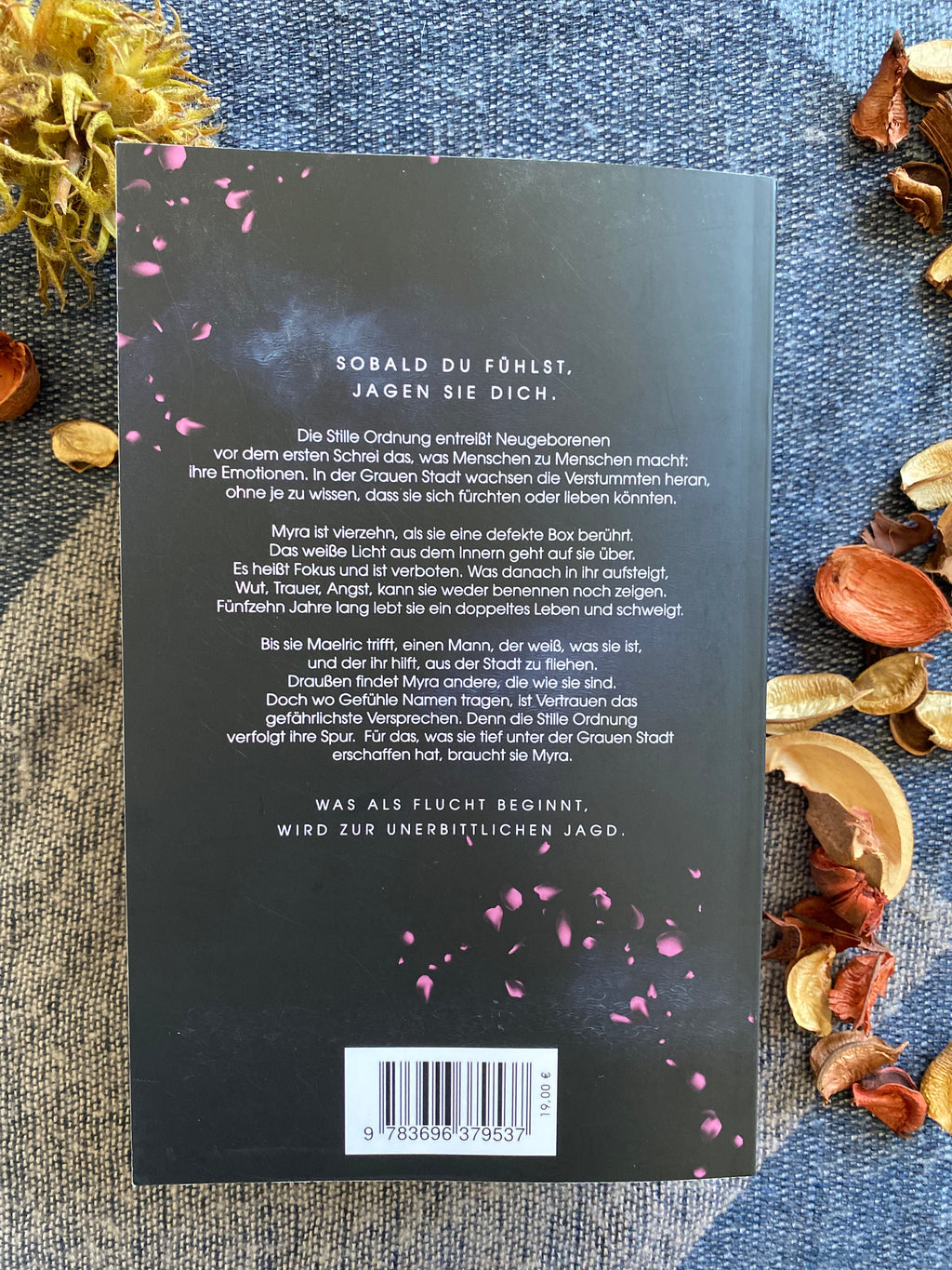 Taschenbuch ohne Klappen und Farbschnitt | Band 1 Die Kinder der Grauen Stadt – Die Gejagte | Inklusive 2 Wende-Charakterkarten (A6) & Akte Myra (A5) | signiert