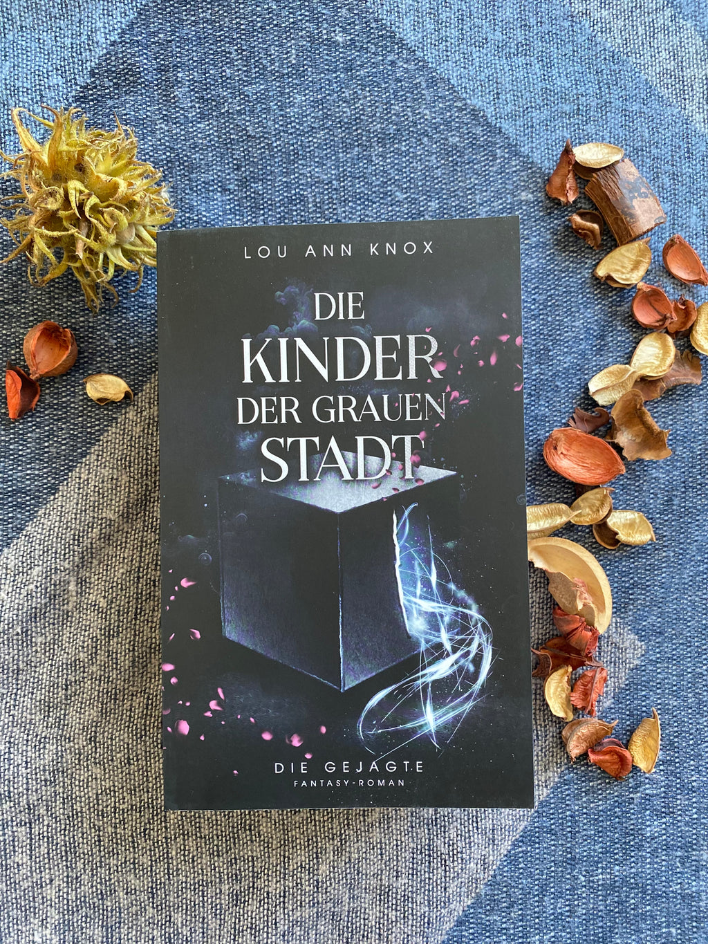 Taschenbuch ohne Klappen und Farbschnitt | Band 1 Die Kinder der Grauen Stadt – Die Gejagte | Inklusive 2 Wende-Charakterkarten (A6) & Akte Myra (A5) | signiert